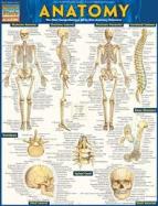Anatomy cover